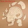 Montessori Puzzle Children's Educational Human Anatomy Science Animal Planet 3 To 6 Years Old Wooden Multi-layer Puzzle Toy