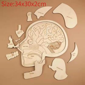 Montessori Puzzle Children's Educational Human Anatomy Science Animal Planet 3 To 6 Years Old Wooden Multi-layer Puzzle Toy (Color: Human brain)