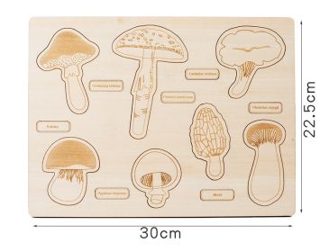 Montessori Puzzle Children's Educational Human Anatomy Science Animal Planet 3 To 6 Years Old Wooden Multi-layer Puzzle Toy (Color: Mushroom)